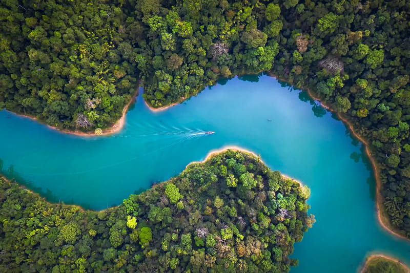 Birds-eye view of the Amazon river and rainforest in Peru