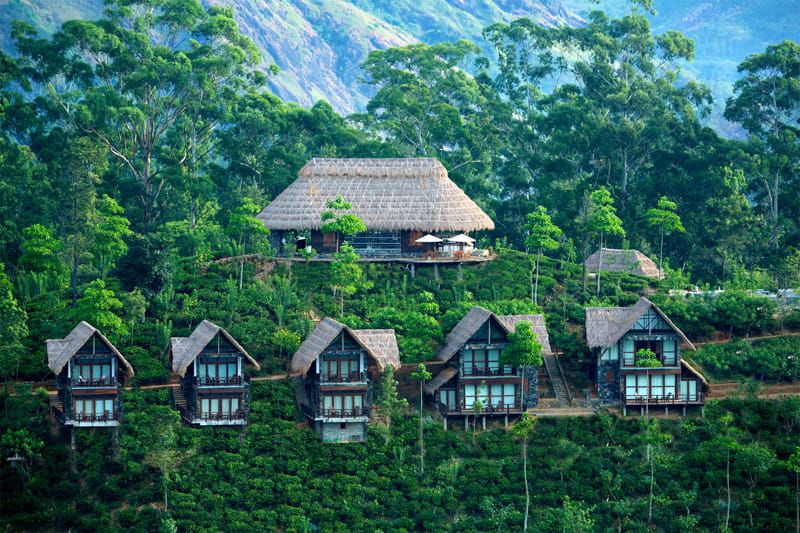 Houses in the Sri Lankan forest
