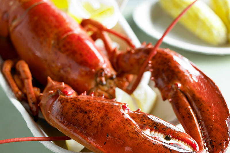 New England Maine lobster