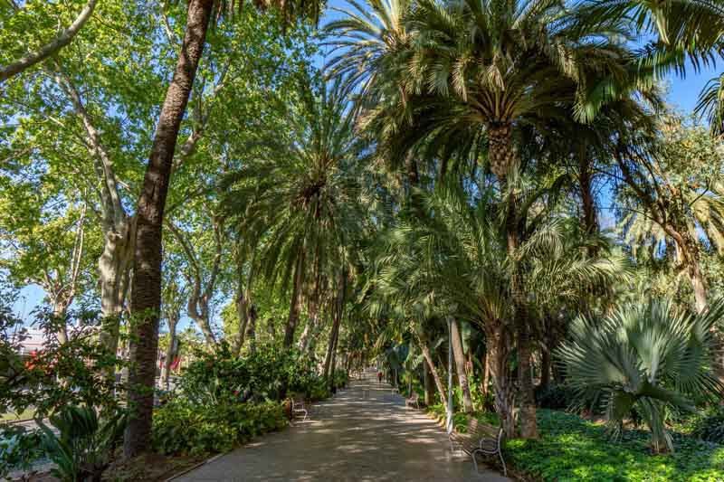 The green Paseo del Parque in Malaga