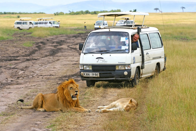 Spotting lions on a Kenya safari drive