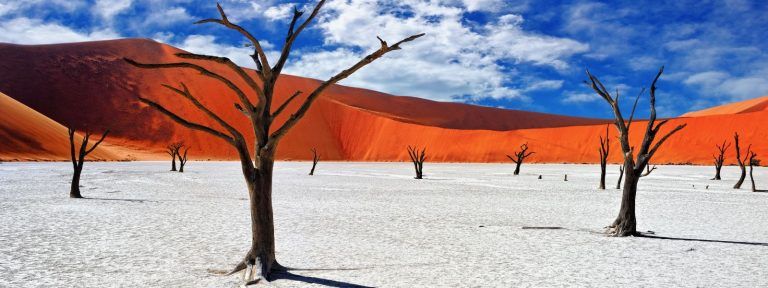 Unearthly Landscapes of Namibia