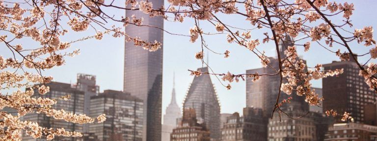 Springtime in New York