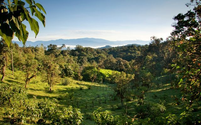 Mindo Cloud Forest Ecuador