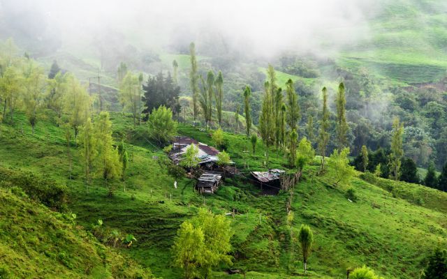 Farmhouse lodge in coffee plantations Colombia